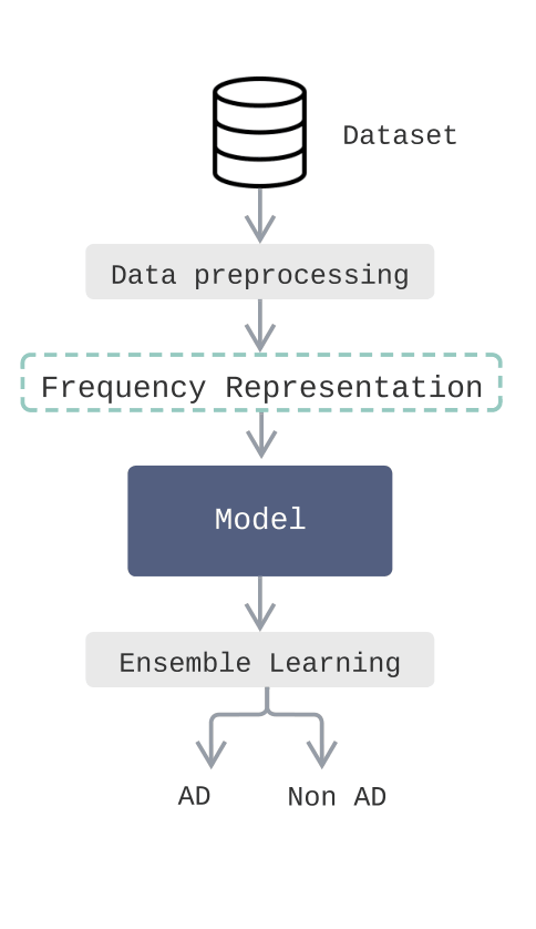 Analysis workflow for the Alzheimer's disease classification task
